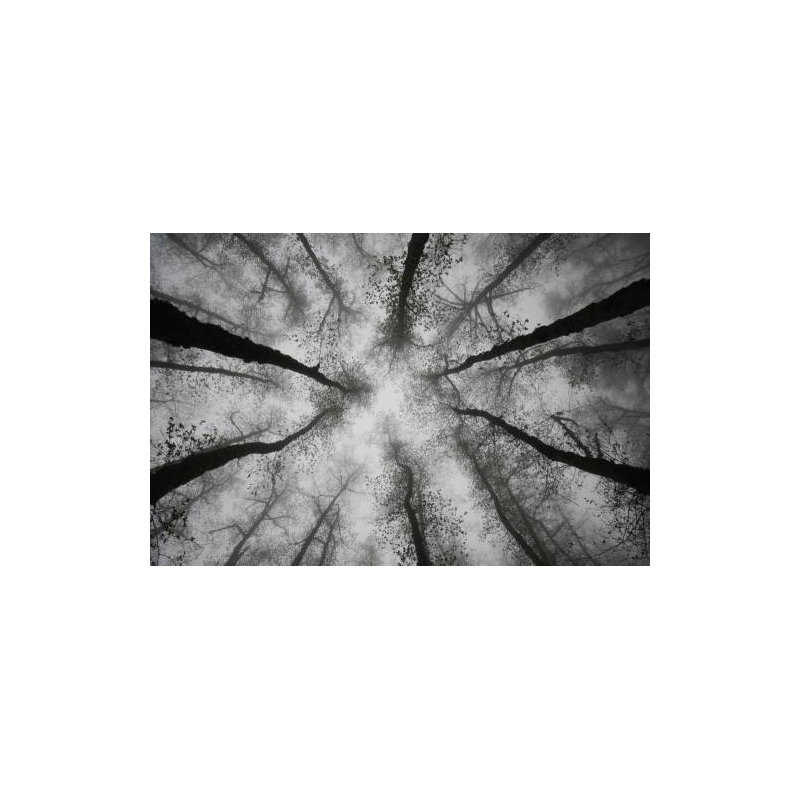 Wrapped Canvas Print, 50.8cm H x 76.2cm W