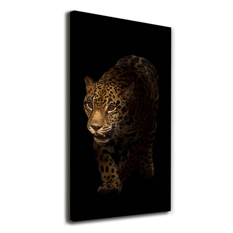 Jaguar - Wrapped Canvas Print