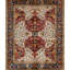 Sona Oriental Area Rug