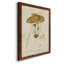 Mushroom Variétés V - reproduction d'art sur toile-1388335081