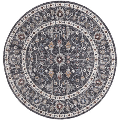 Tapis traditionnel gris foncé / brun clair