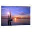 Sailboat - No Frame Print on Canvas-50018593