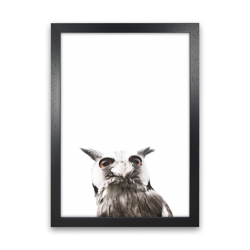 Lil Owl by Victoria Frost - Print, 34cm H x 25cm W x 3cm D, Black Framed