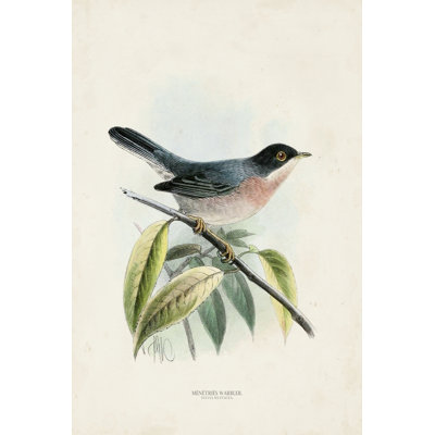 Oiseaux antiques V