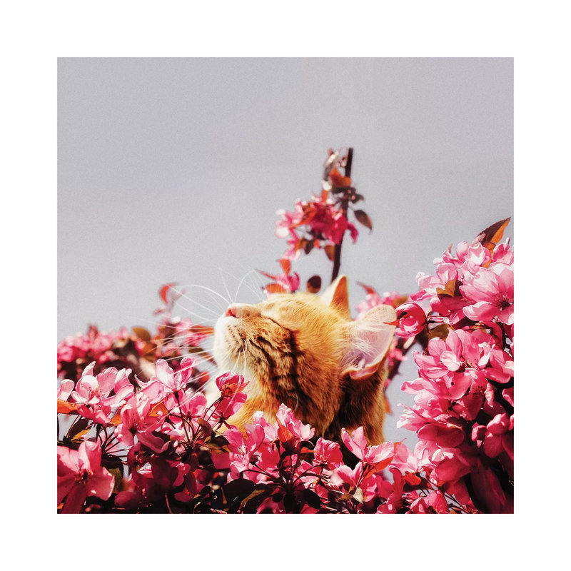I Thought About You So Much Today by Karen Cantuq - Print on Canvas, Wrapped Canvas, 66.04cm H x 66.04cm W x 1.91cm D