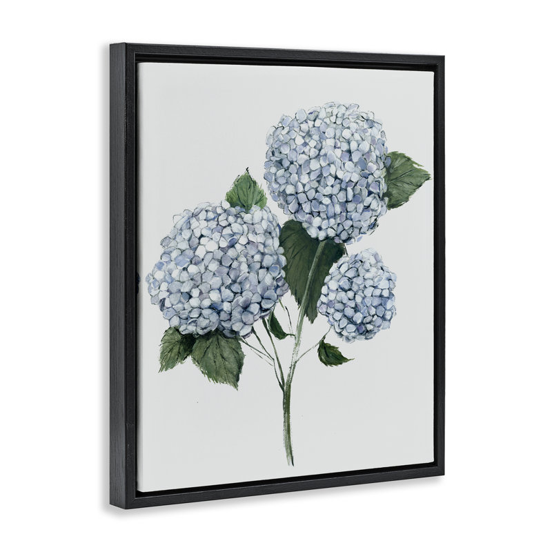 «Hydrangea Bulb Trio», art mural encadré noir sur toile flottante, design par Hannah Dawson, 31" H x 25" W