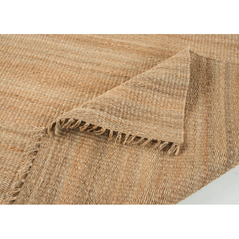 Tapis brun en jute / sisal tissé à la main Hanlin, Rectangle 5 pi x 7 pi 6 po