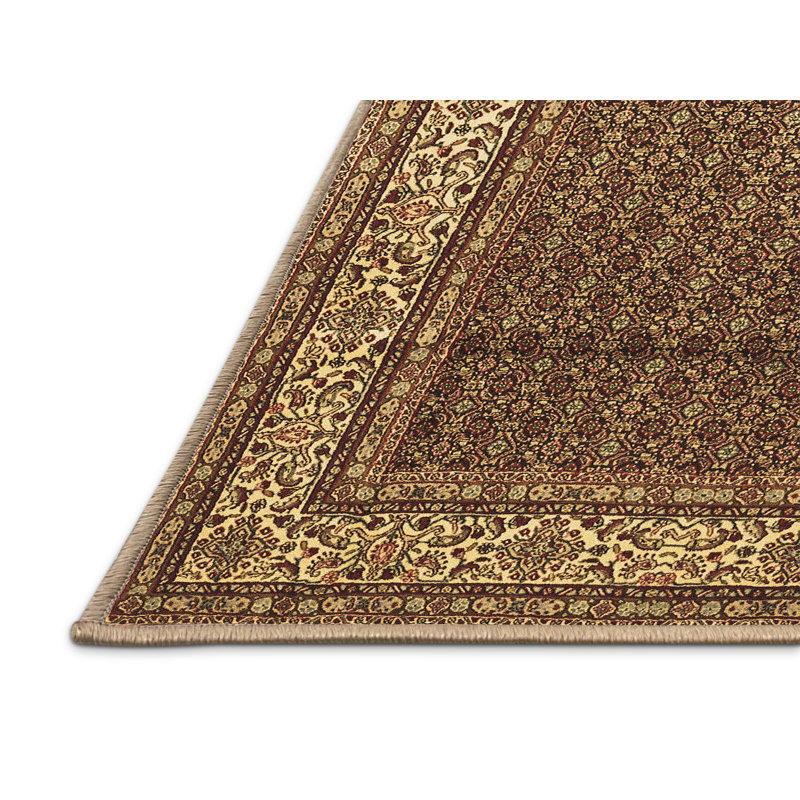 Tapis brun traditionnel Traditional 1579, Tapis de couloir 2 pi x 5 pi