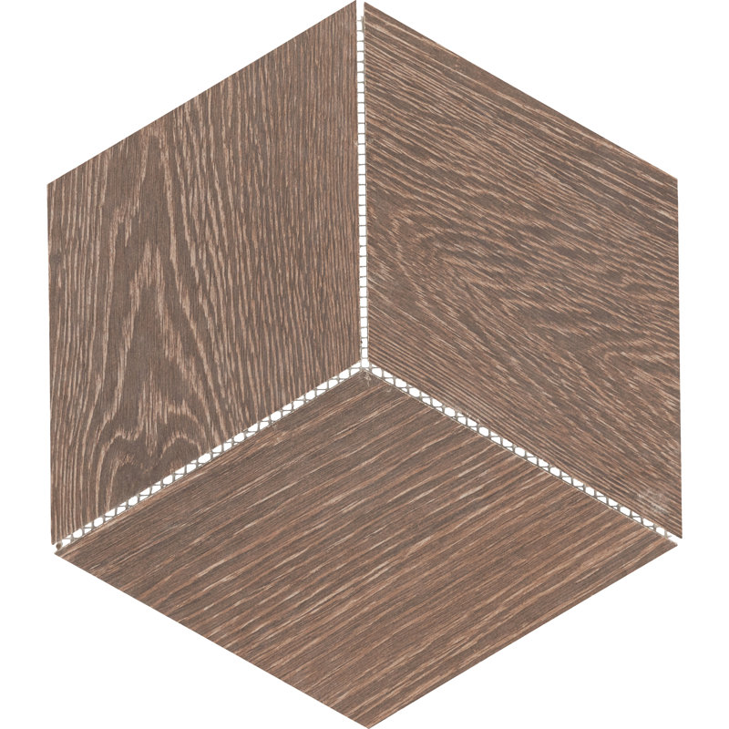 Tuile de look de bois en porcelaine 12 po x 12 po