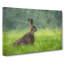 Lone Hare Painting - Wrapped Canvas-56654648