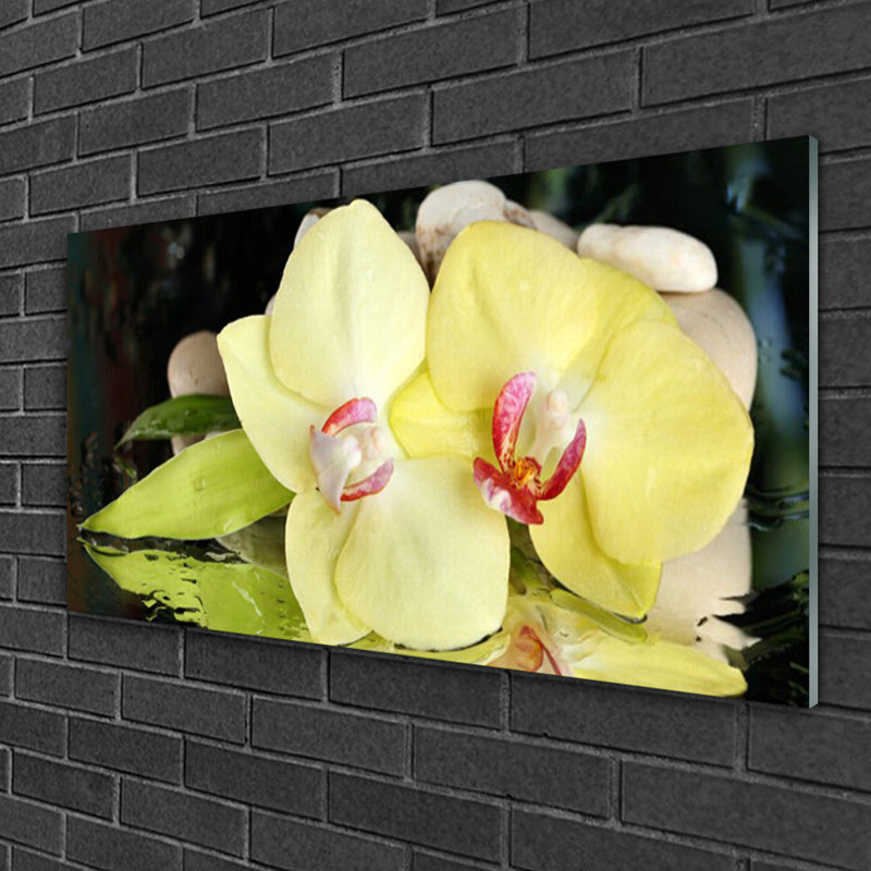 Floral Petal - No Frame Print on Glass