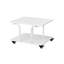 38 H x 60 W Cart