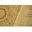 Tapis beige en laine noué à la main à motif oriental 9 pi x 11 pi 6 po Roby