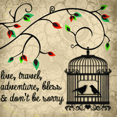 Birdcage Adventure - peinture sur toile tendue
