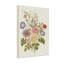 Arrangement floral de plantes et de fleurs avec des roses et des fleurs de la passion-735874780