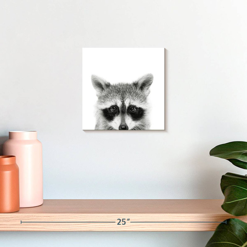 Raton laveur Peeking, H 10 po x l 10 po