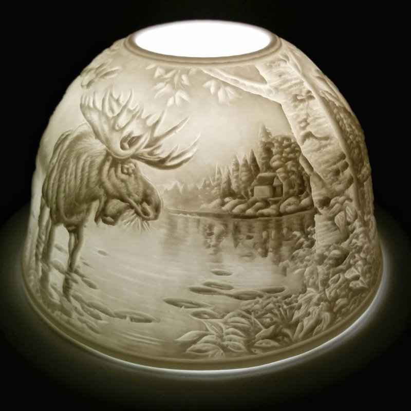 Moose In The Wild Dome Light