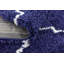 Scottsville Shaggy Navy Blue/Ivory Rug-781666620
