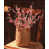 Rose est en rupture de stock
