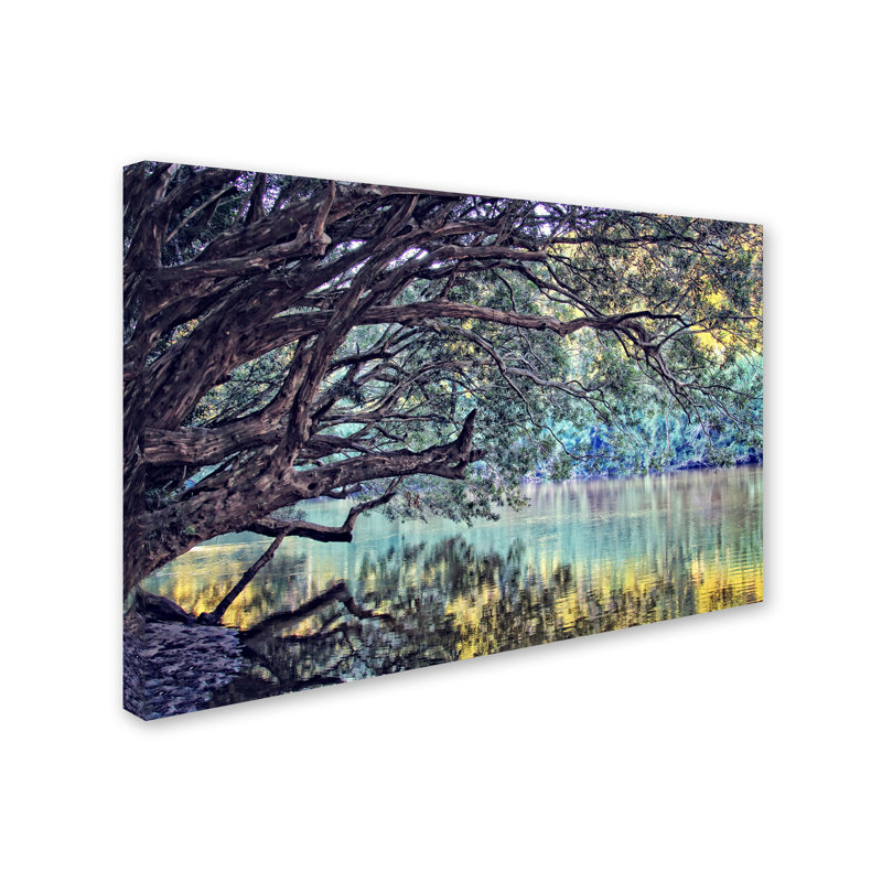 « a place to rêve » par "beata czyzowska young, reproduction de photo sur toile tendue, H 12 po x l 19 po x P 2 po