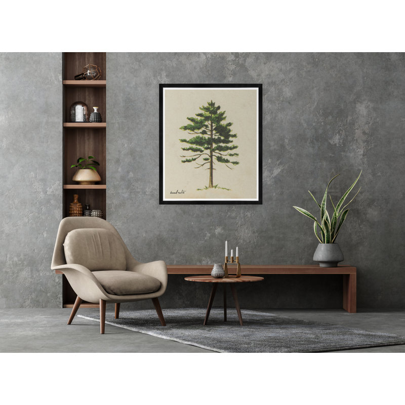 Moulton Collection " Cedar ", Black Framed