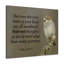 Value Luke 12:6 - Wrapped Canvas Print-275013856