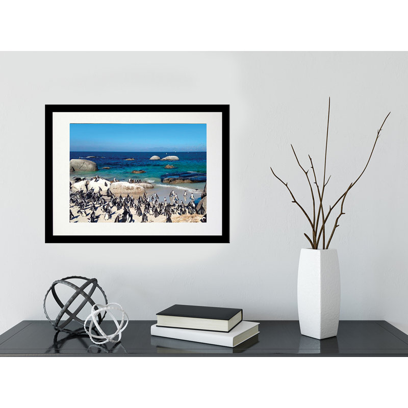 Pingouin paradis - photographie, Papier encadré noir, Blanc, H 18,5 po x l 22,5 po x P 1,25 po