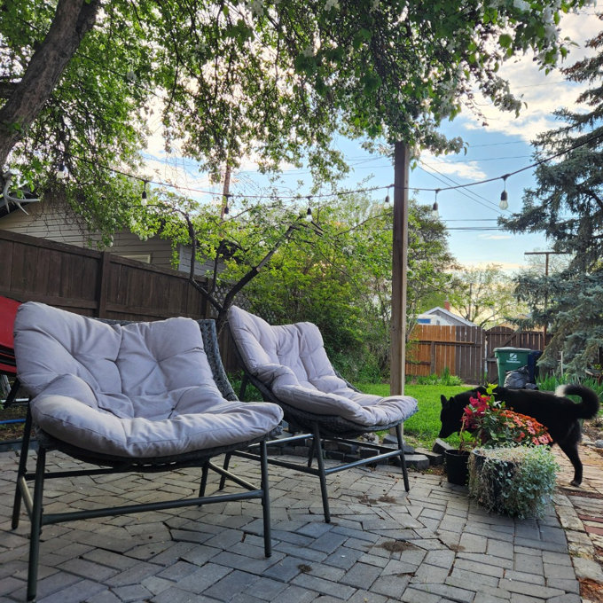 Patio Furniture Wayfair Scoop Chairs Lark Manor™ Akosha Patio