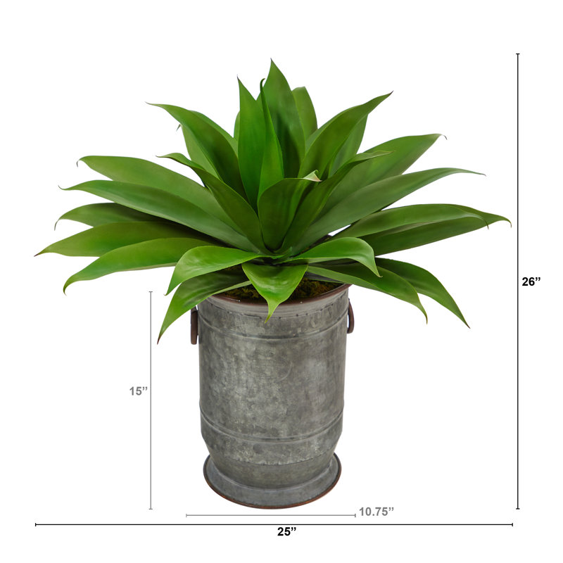 Plante grasse artificielle 26 po en pot