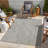 Lavona Indoor / Outdoor Rug