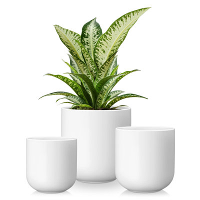 HDHPOT Ceramic Pot Planter