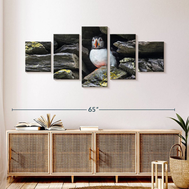 Resting Atlantic Puffin, 24" H x 55" W