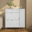 Armoire de rangement pour chaussures 16 paires Marable-1704114836