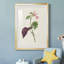«Pretty Pink Botanicals VI» - reproduction de cadre photo-966822141-966822114