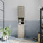 Rogin Wall Mounted Required Bathroom Cabinet