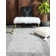 Henretter Oriental Indoor Rug