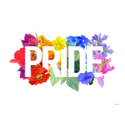" Rainbow Pride " by House Fenway