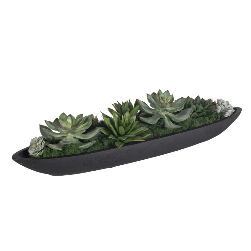 Uttermost Verde Succulent Centerpiece In Bowl