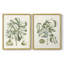 Reproduction encadrée de qualité supérieure Buchoz Tropicals IX - prête à être accrochée-1856808748-1856808721