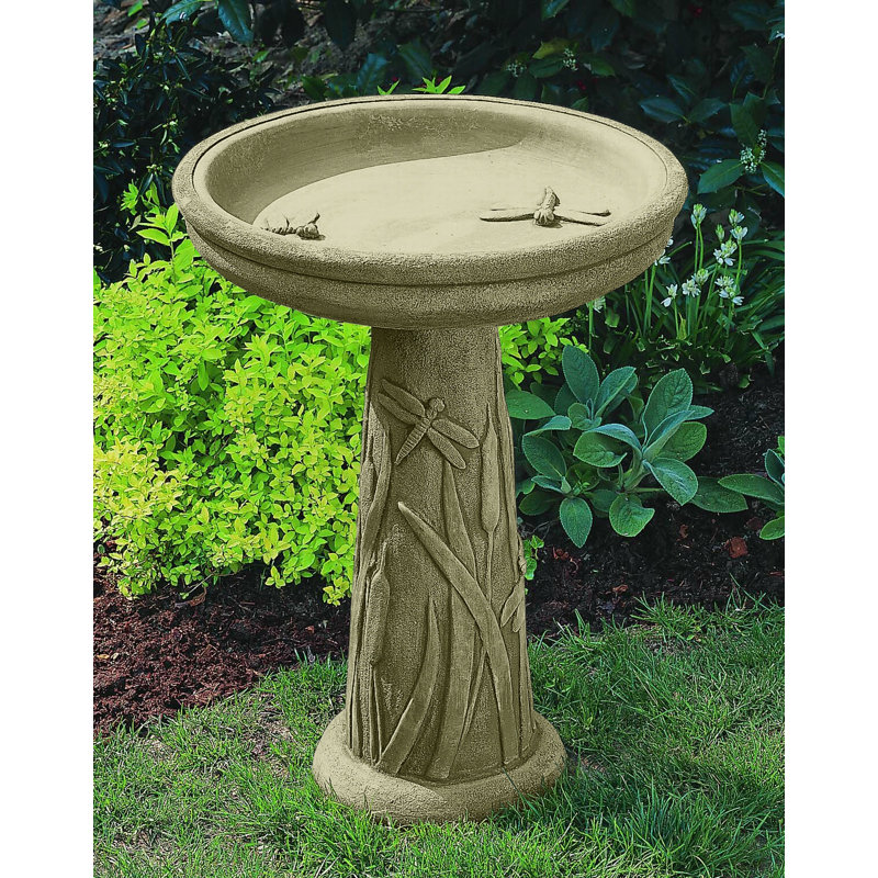 Bassin pour oiseaux, Mousse anglaise