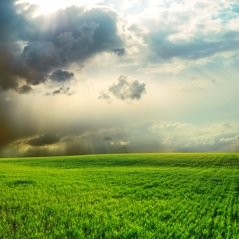 Dramatic Sky by Mycola - Wrapped Canvas Print, 76cm H x 76cm W x 3.8cm D
