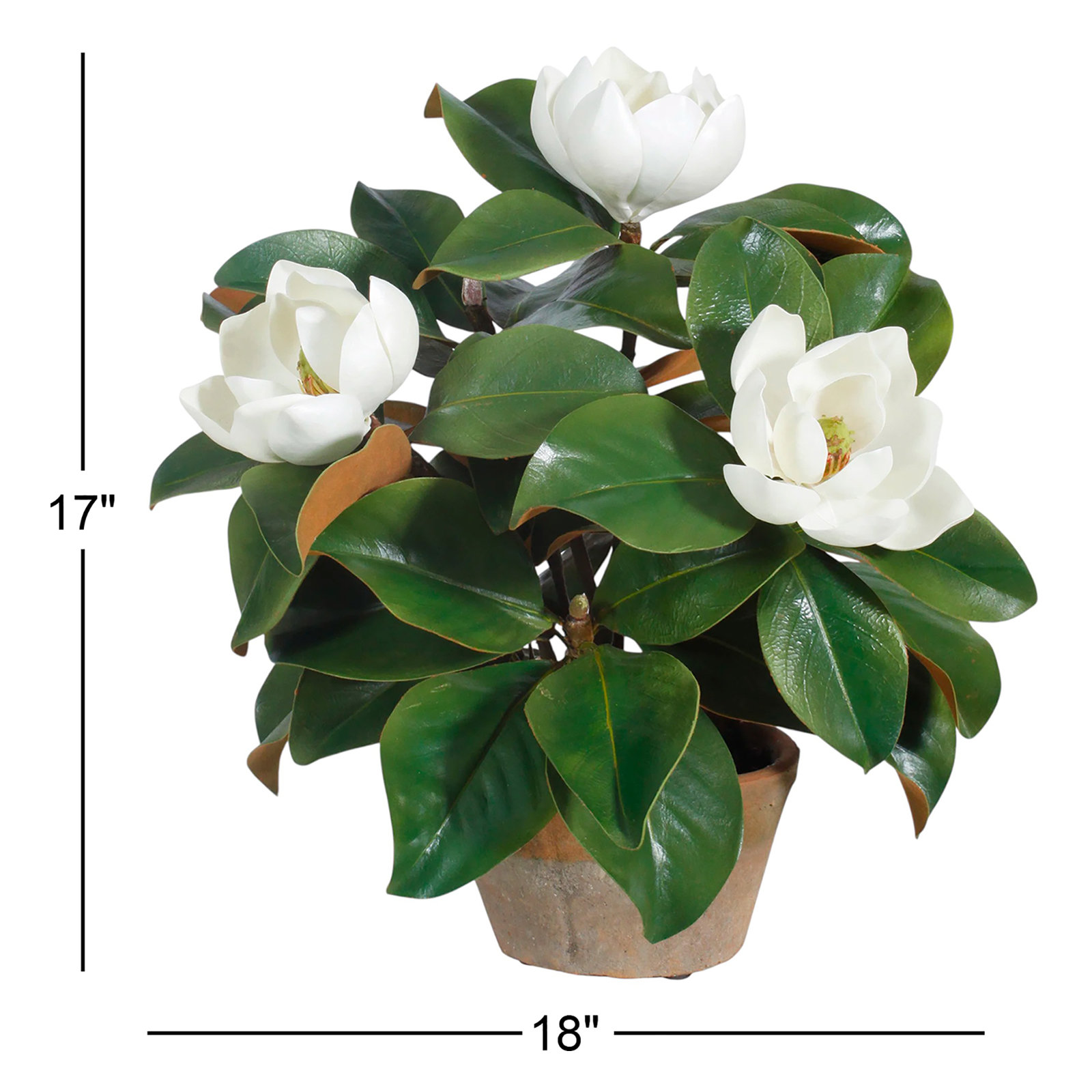 Magnolia Floral Arrangement, 17" H x 18" W x 18" D