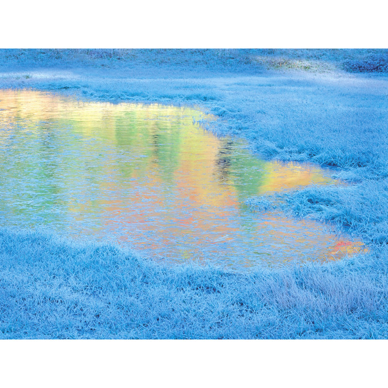 Frozen Autumn Pond Print by Bruce Heinemann, Wrapped Canvas, 24" H x 32" W