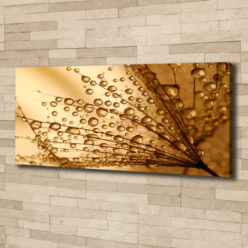 Dandelion seeds 1 Piece Wrapped Canvas Wall Art