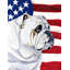 2 côtés en polyester de 2 côtés american drapeau de jardin-1288238535