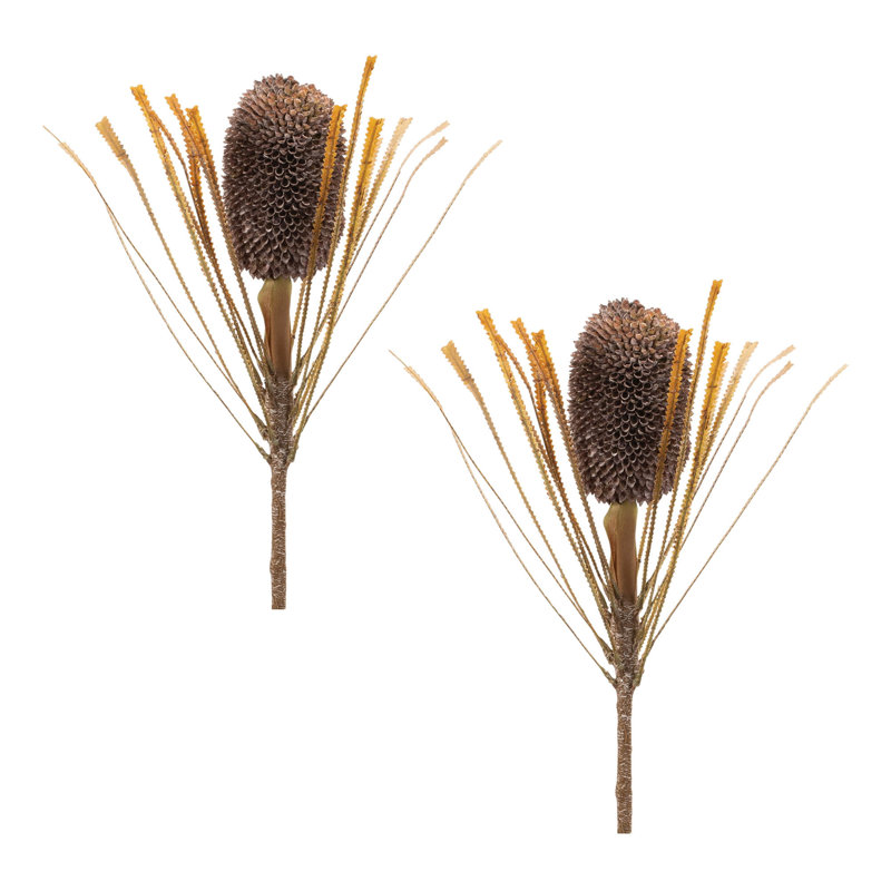 Tige d'automne Banksia Pod