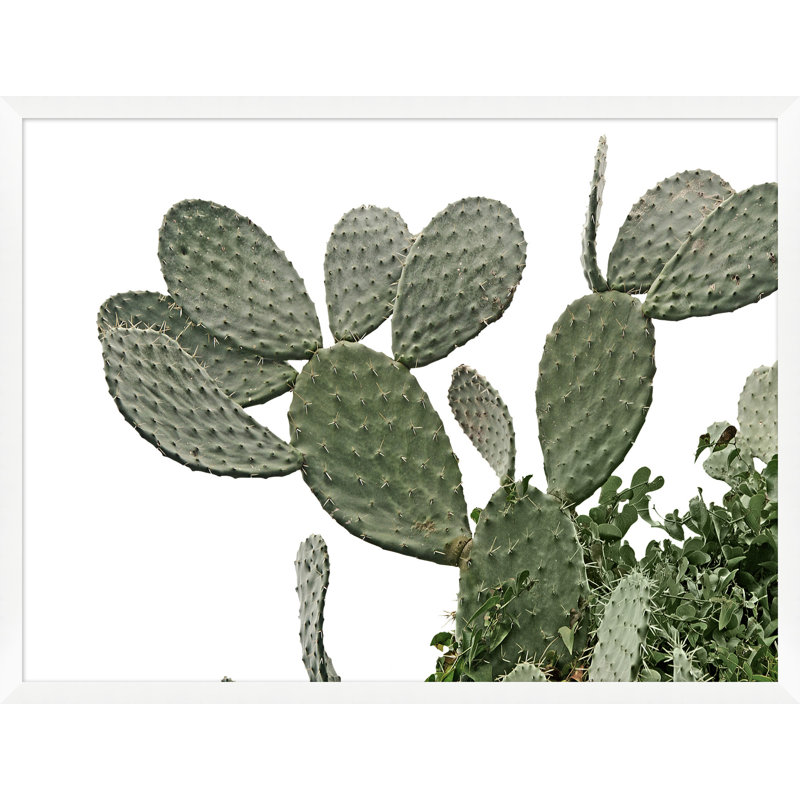 Cactus sur fond blanc 4 par Nathan Turner - Photographie de cadre photo sur papier