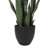 Artificial Sansevieria Snake Plant in Pot-1129665381