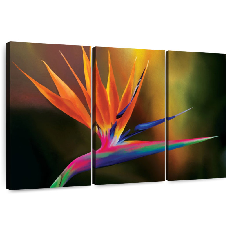 Strelitzia Harnek Delightful, H 42 po x l 65 po