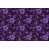 Black/Purple